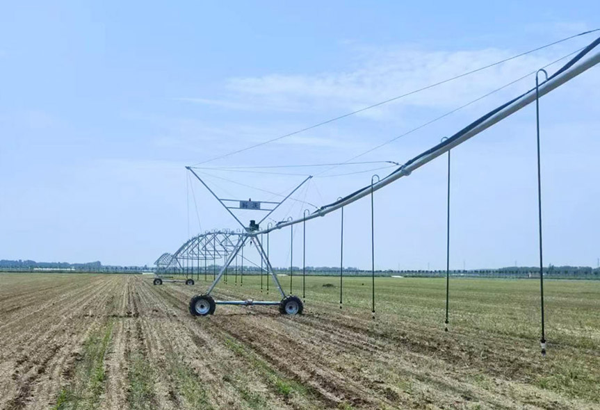 Pointer type sprinkler irrigation machine