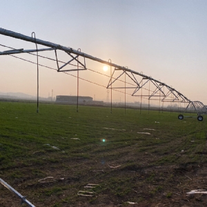 Pointer Type Sprinkler Irrigation Machine